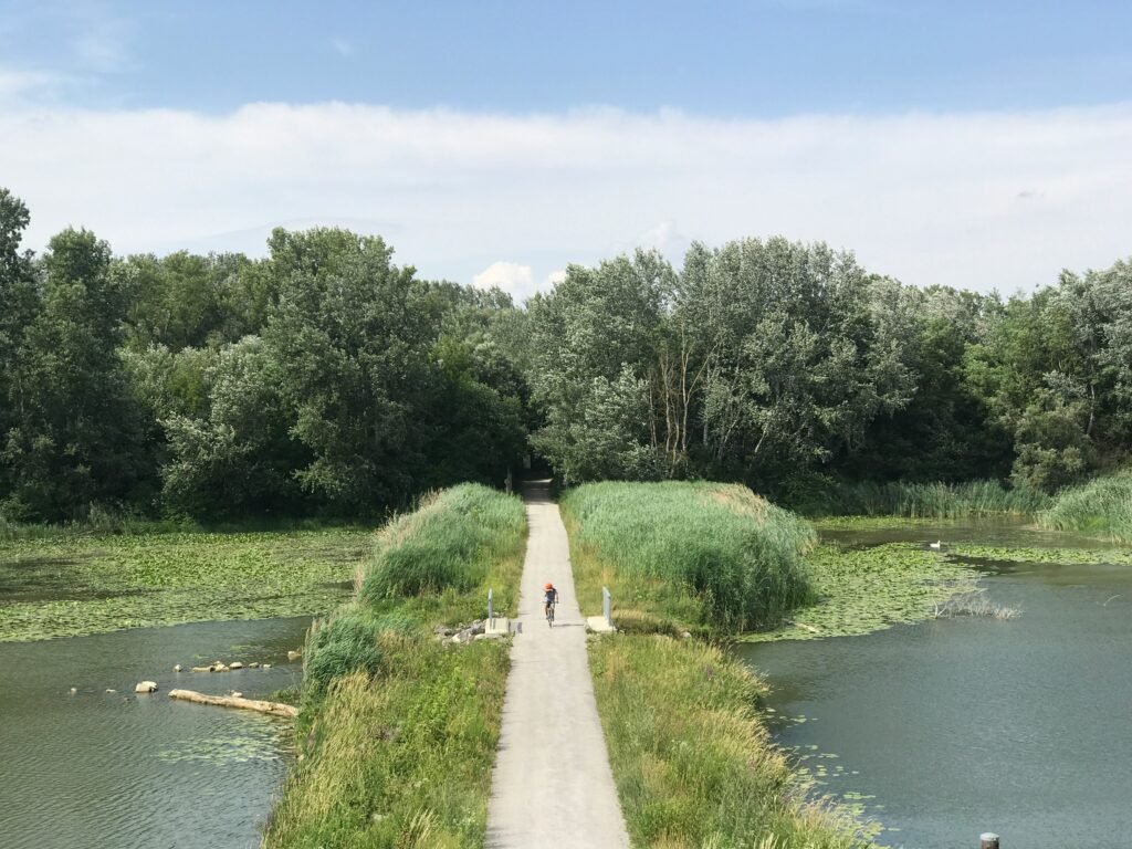 Un cycliste traverse environnement verdoyant en Ile-de-France.