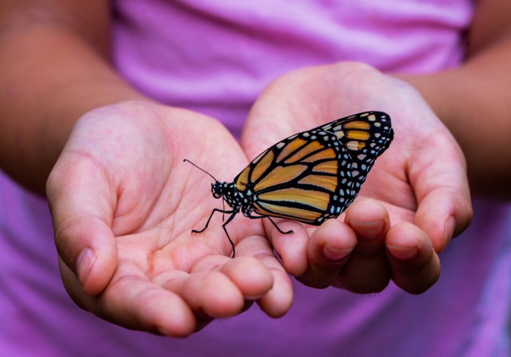 Un papillon est tenu dans les mains par une personne dans un atelier lors d'une activité écologique.