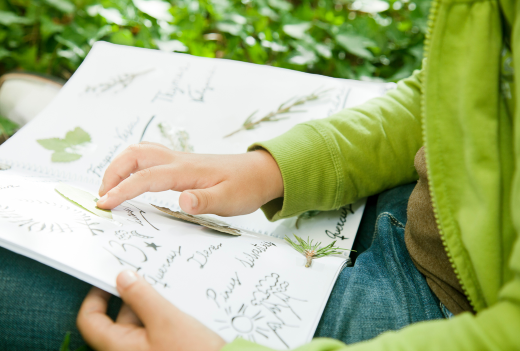 Participant à un atelier éco-créatif herbier Ile-de-France