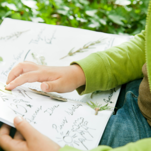 Participant à un atelier éco-créatif herbier Ile-de-France