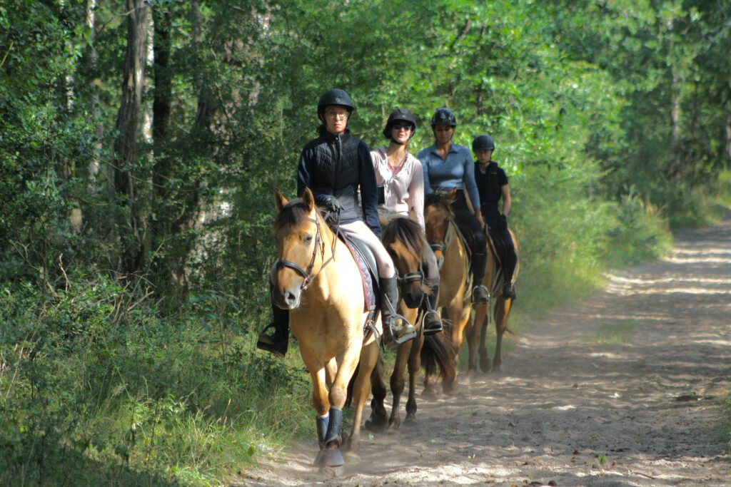 Participants à une balade à cheval en forêt de fontainebleau sur un sentier