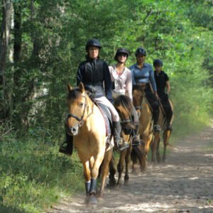 Participants à une balade à cheval en forêt de fontainebleau sur un sentier