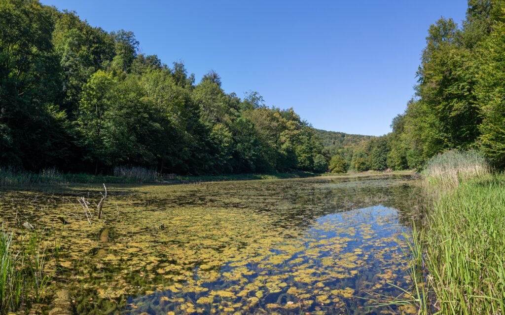 Paysage du parc naturel du Venin français pouvant être retrouvé lors d'une balade à cheval en Ile-de-France