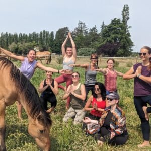 Journées Yoga et balade à cheval avec les chevaux Henson