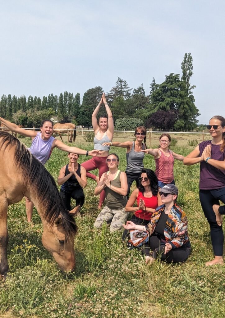 Journées Yoga et balade à cheval avec les chevaux Henson