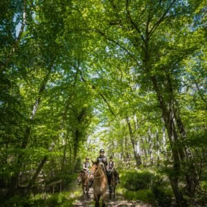 Photo prise de participants à un team building à cheval en ile de france